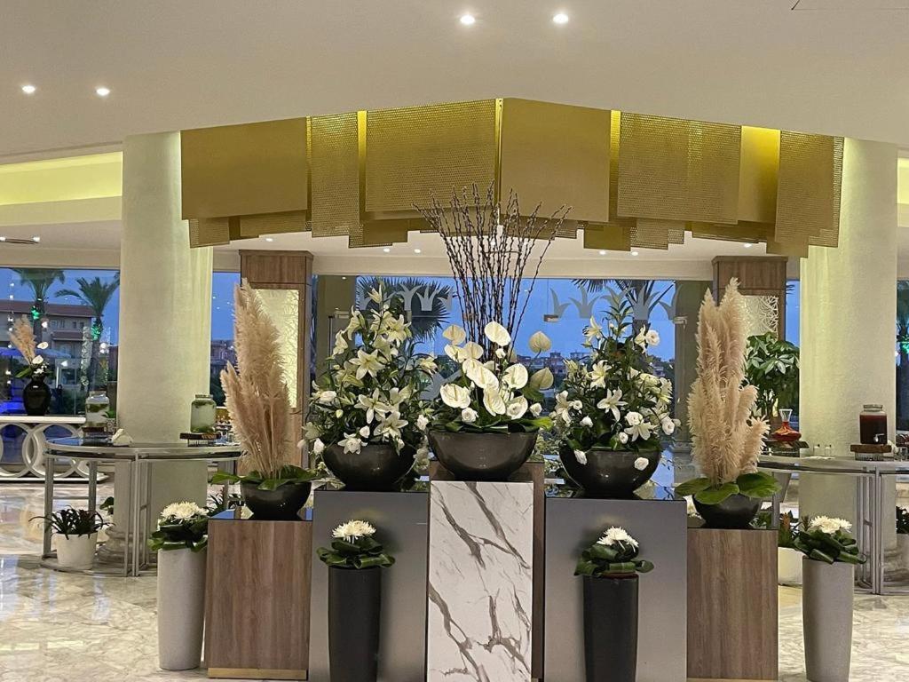 Ghazala Resort And Spa 阿莱曼 外观 照片